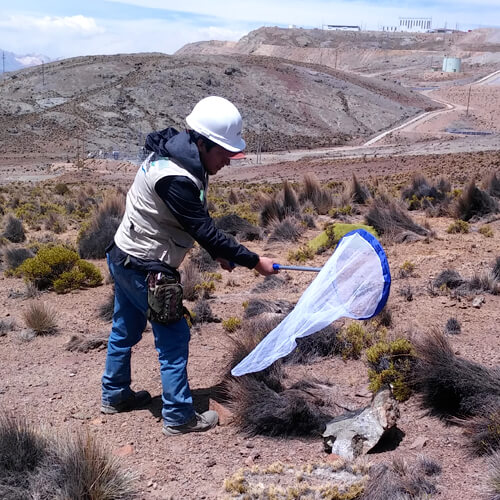 La confianza se construye. Más de 300 proyectos elaborados.